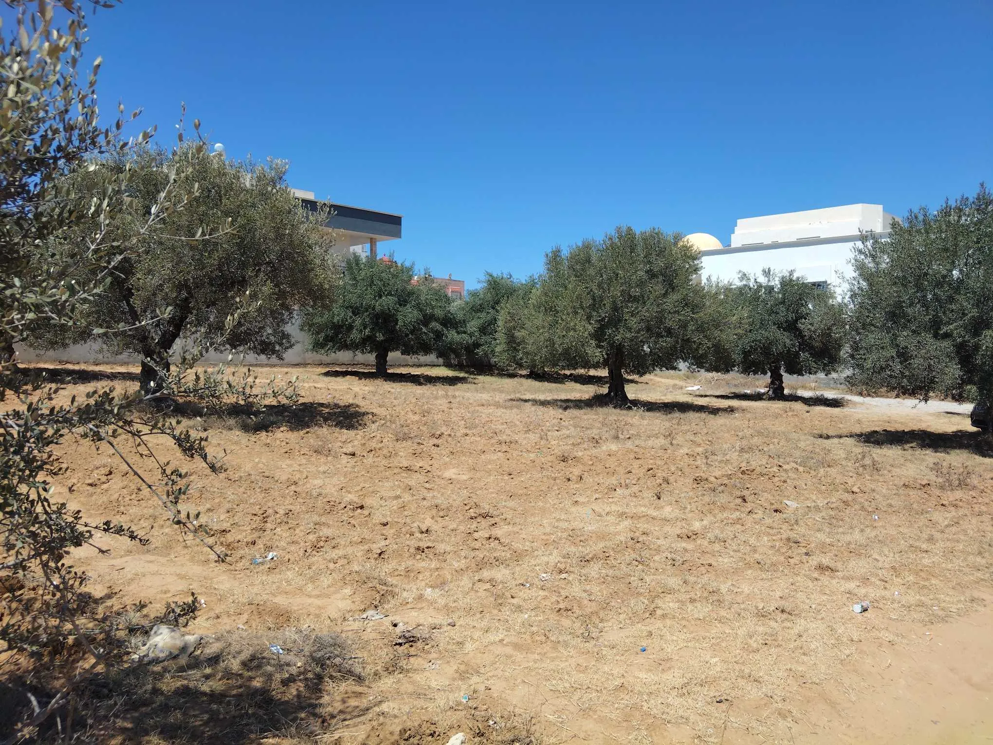 Un très beau lot à vendre