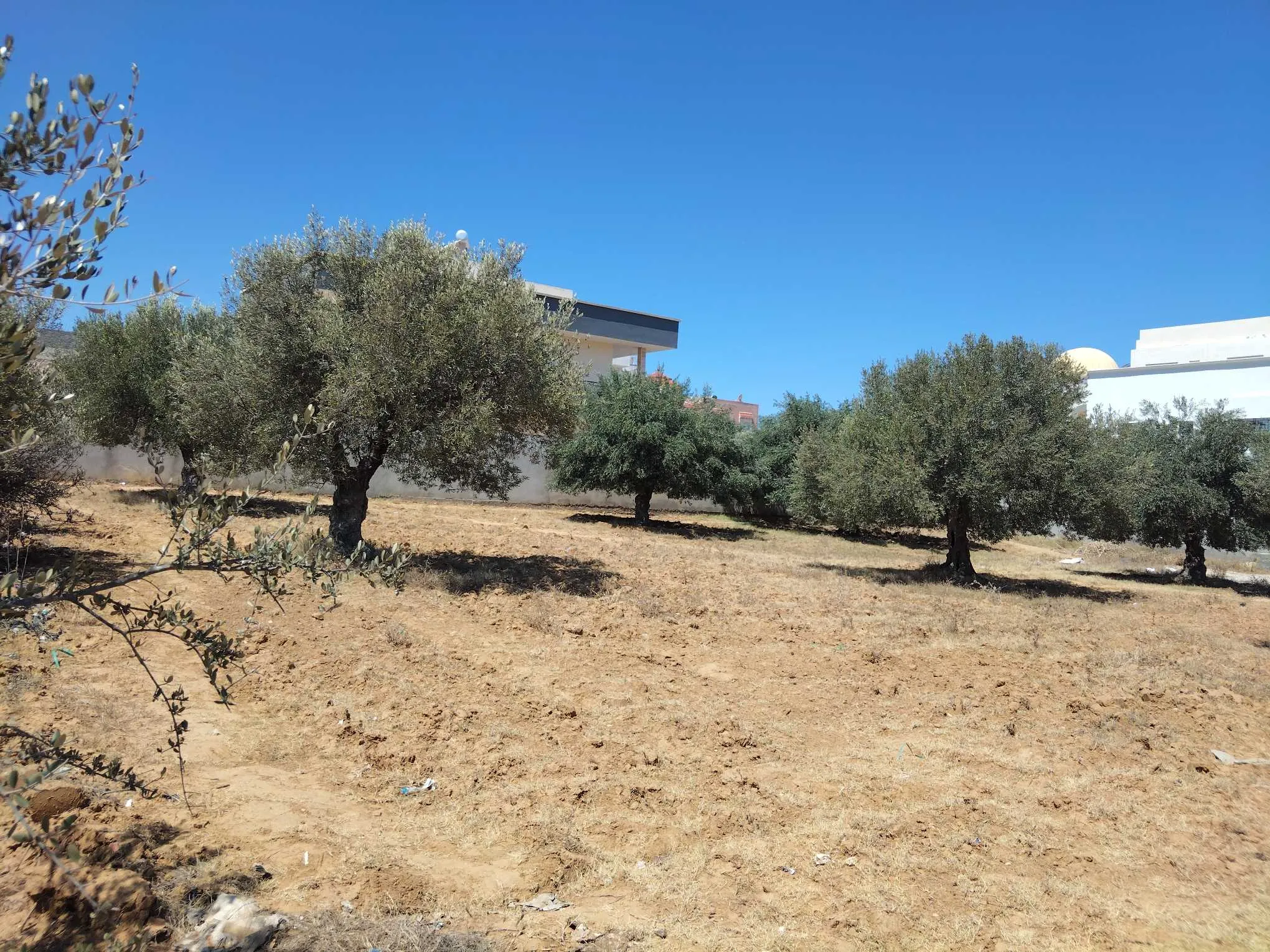 Un très beau lot à vendre