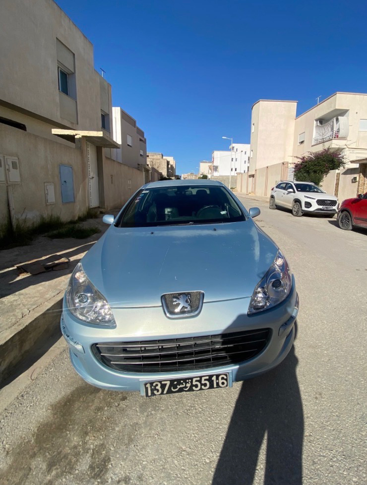 Peugeot 407
