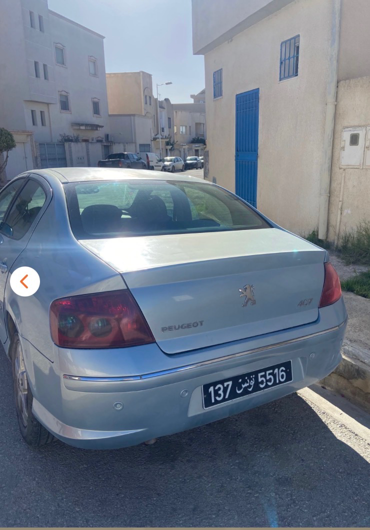 Peugeot 407