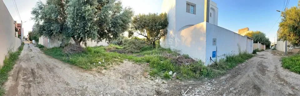 Lot de terrain de 250 m² à Hammamet à vendre 51355351