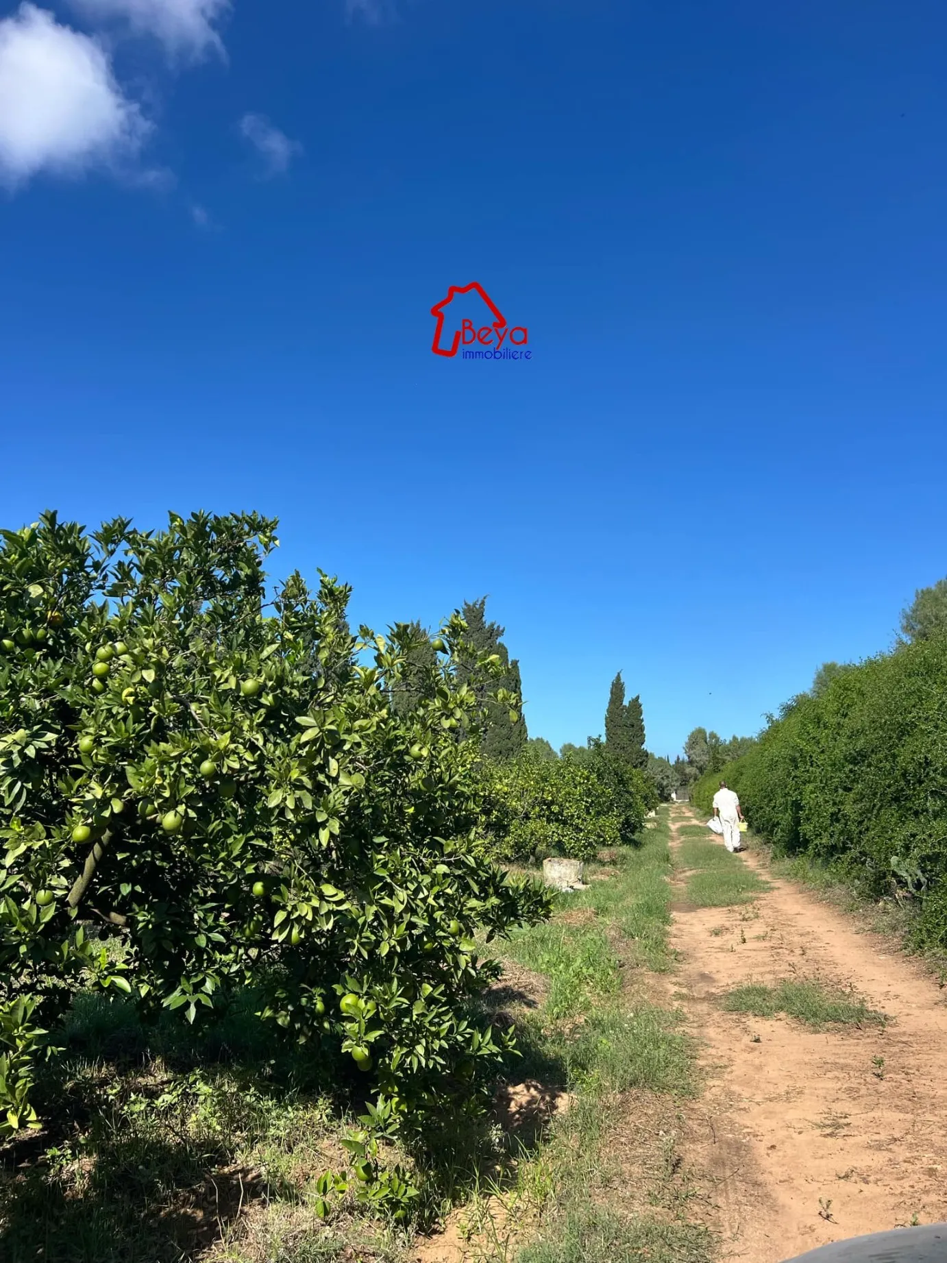 terrain RAHMA VTN076.