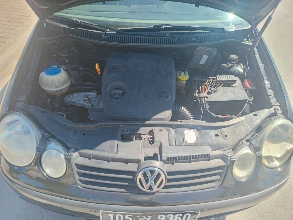 Polo 5