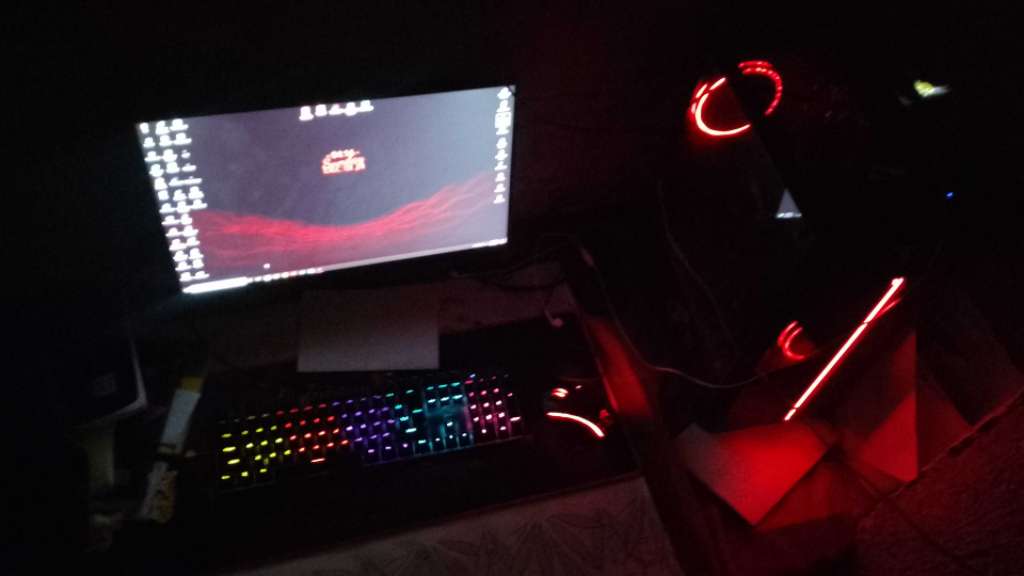Full setup gamer
