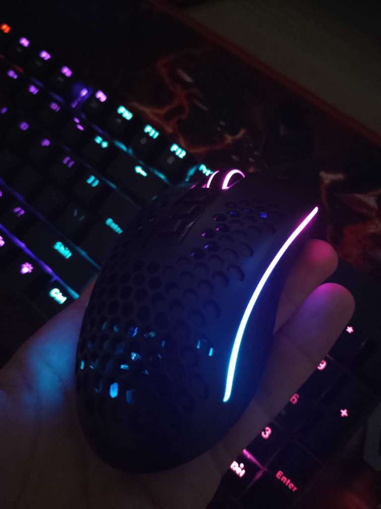 Full setup gamer