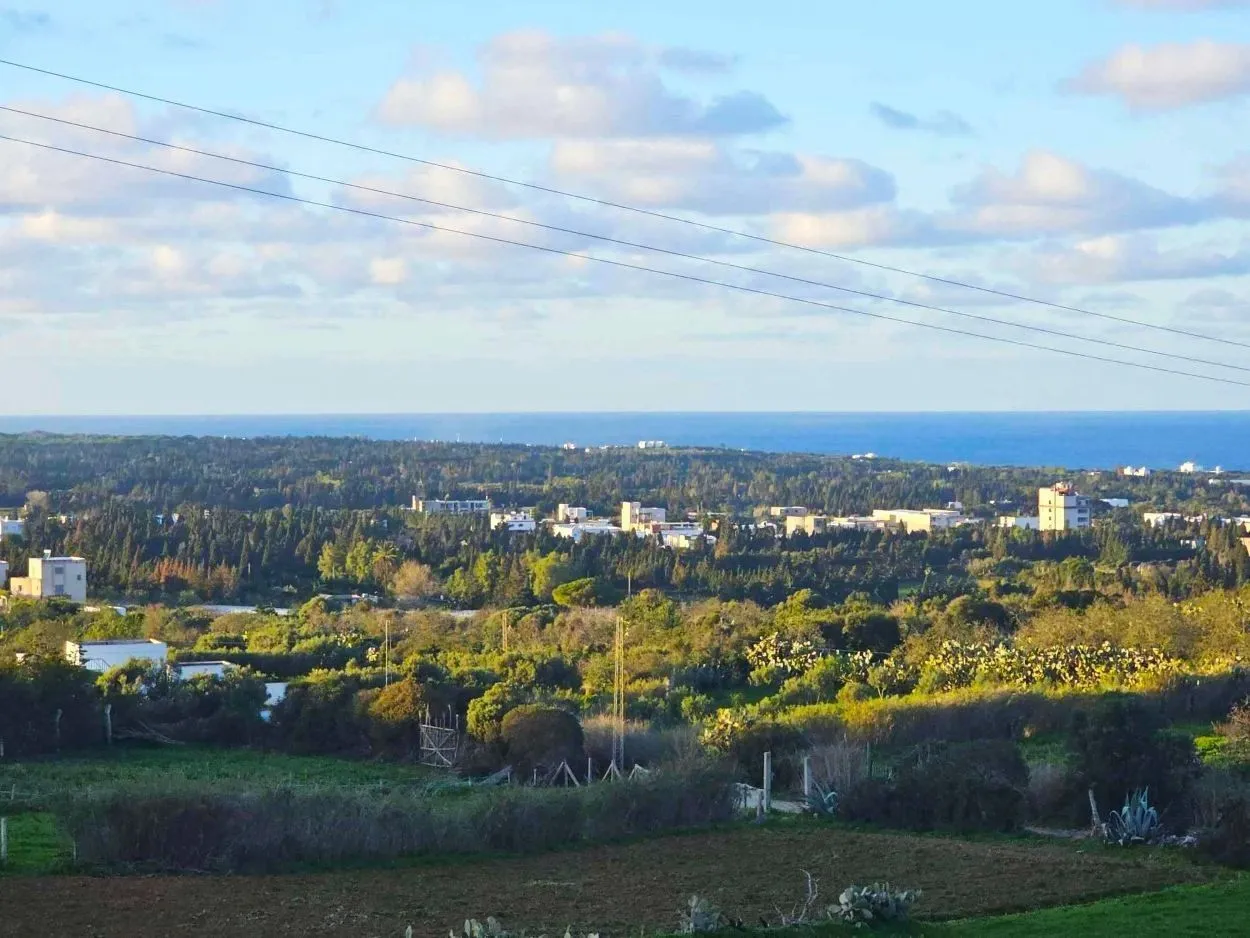 🌳Terrain 970 m2 à Rafraf Sounine - Vue Mer & Nature🌻