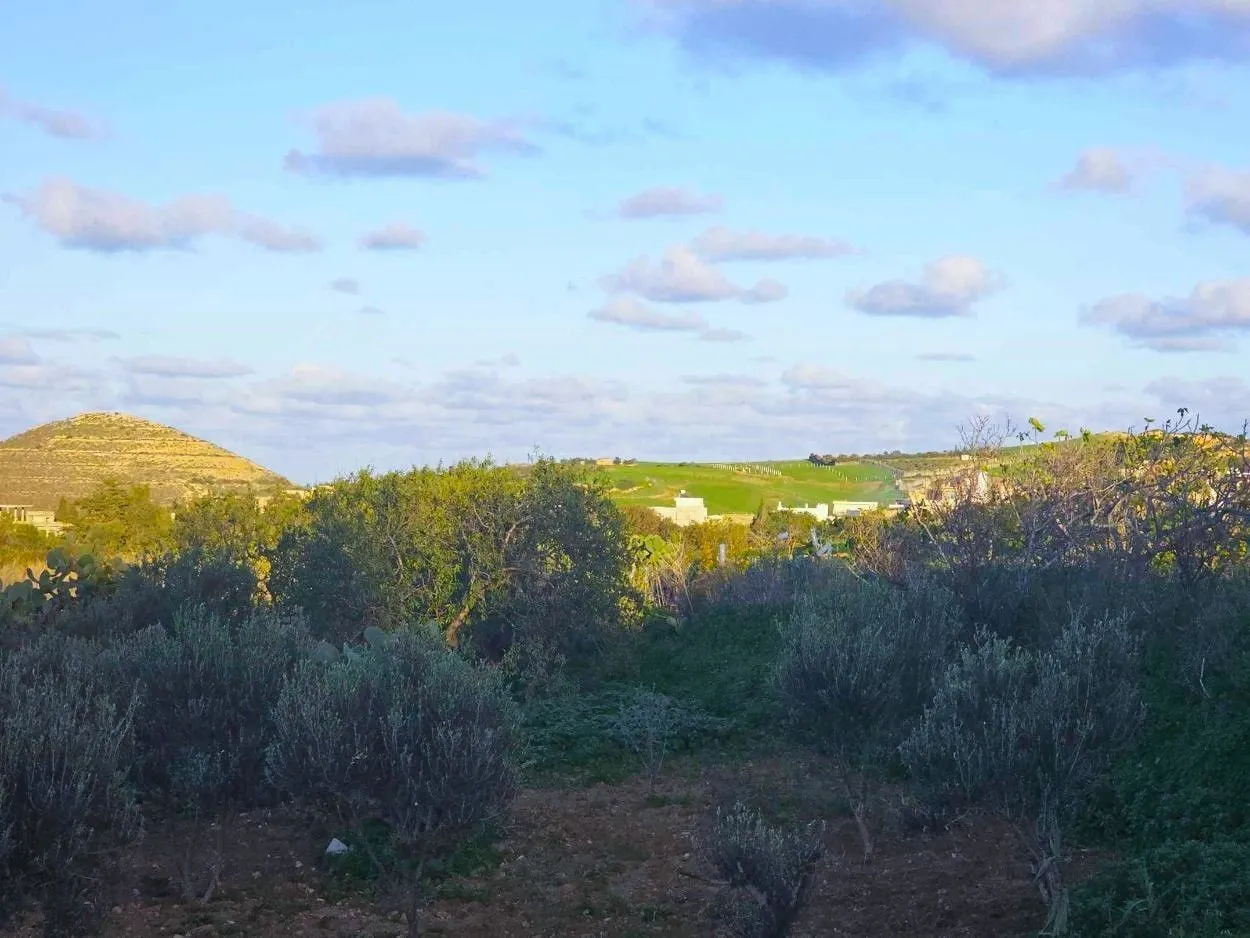 🌳Terrain 970 m2 à Rafraf Sounine - Vue Mer & Nature🌻