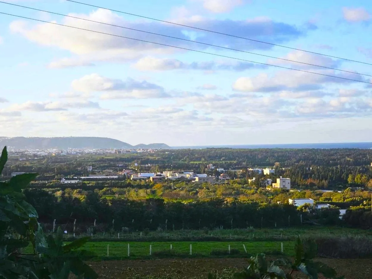 🌳Terrain 970 m2 à Rafraf Sounine - Vue Mer & Nature🌻