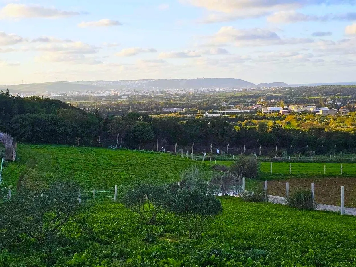 🌳Terrain 970 m2 à Rafraf Sounine - Vue Mer & Nature🌻