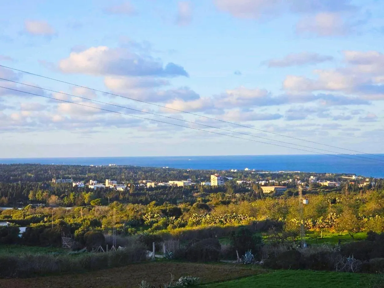 🌳Terrain 970 m2 à Rafraf Sounine - Vue Mer & Nature🌻