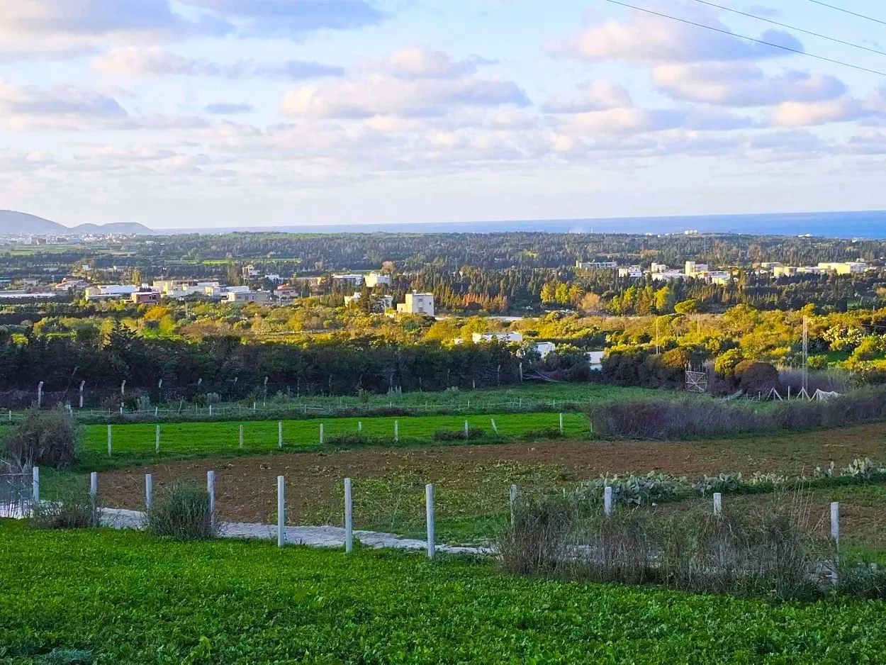 🌳Terrain 970 m2 à Rafraf Sounine - Vue Mer & Nature🌻