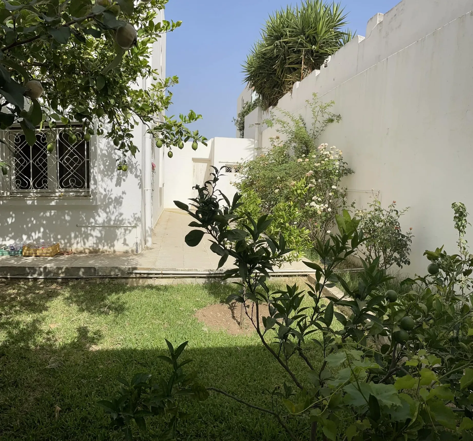 A Vendre Villa 2 a Manseh 6