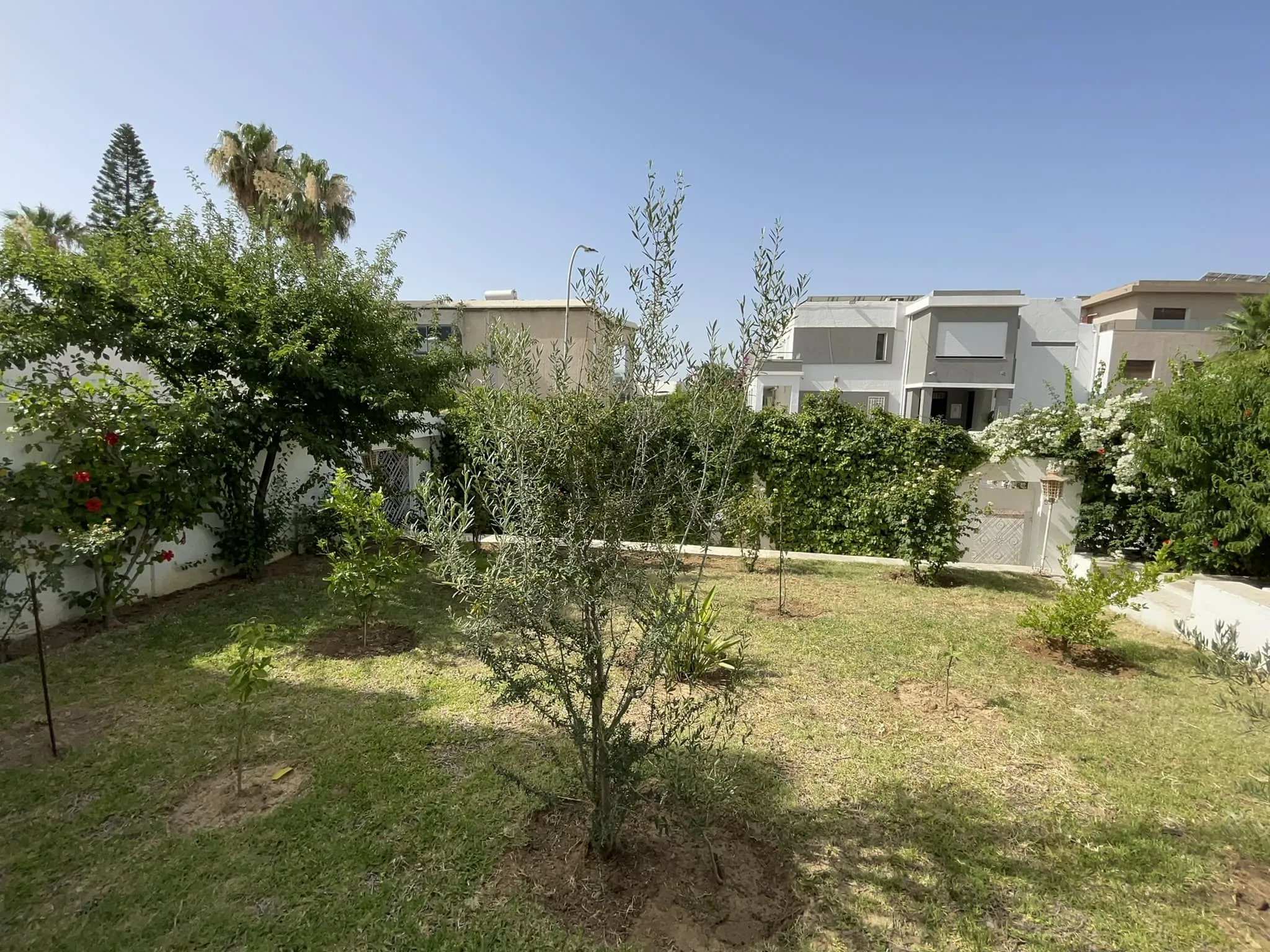 A Vendre Villa 2 a Manseh 6