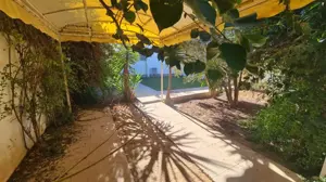 À VENDRE –MAISON À SOMAA, NABEUL 🔑