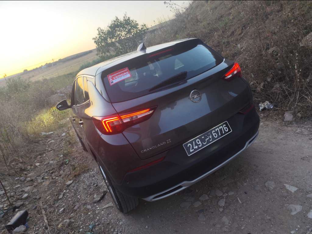 Opel GrandLand X