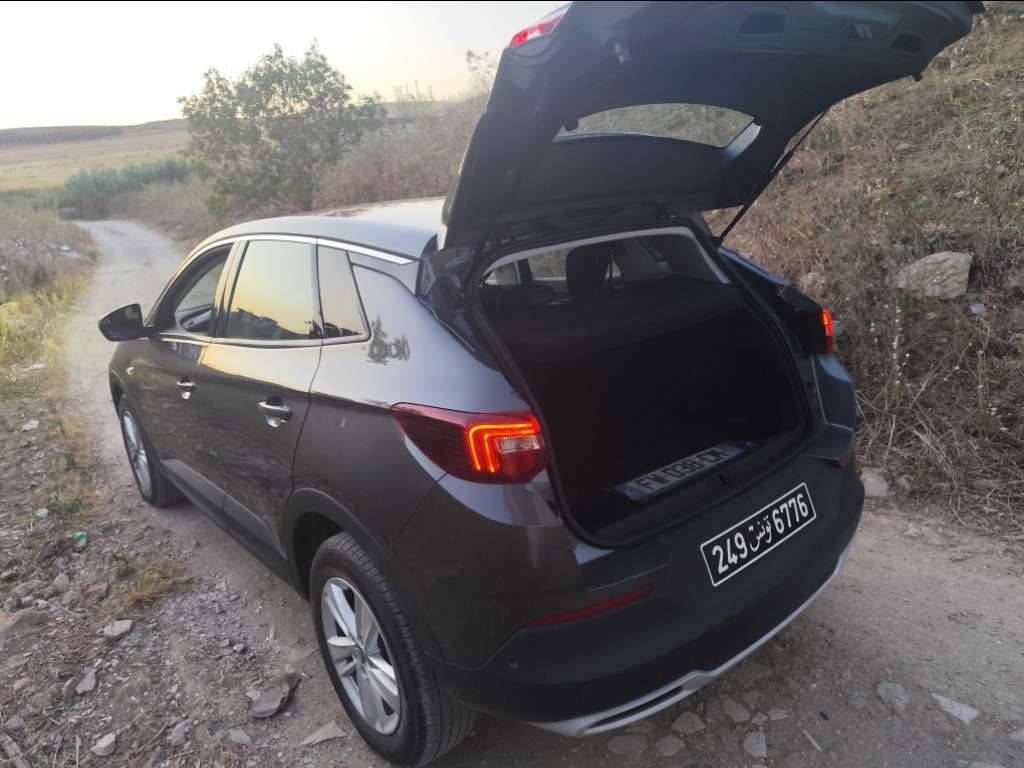 Opel GrandLand X