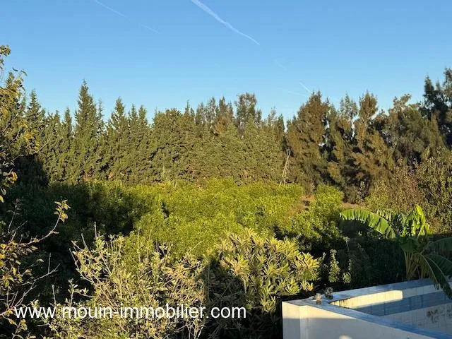 FERME ASIL Beni Ouiel Hammamet T1206