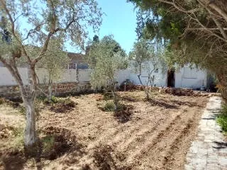 Terrain + maison route plage Mami Rasjbal - photo 3