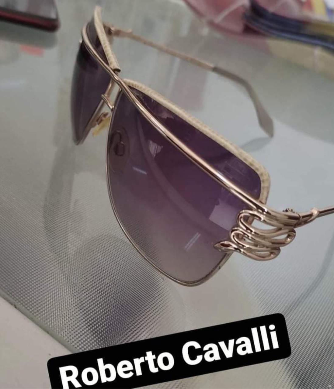 Lunette Femme Roberto Cavalli