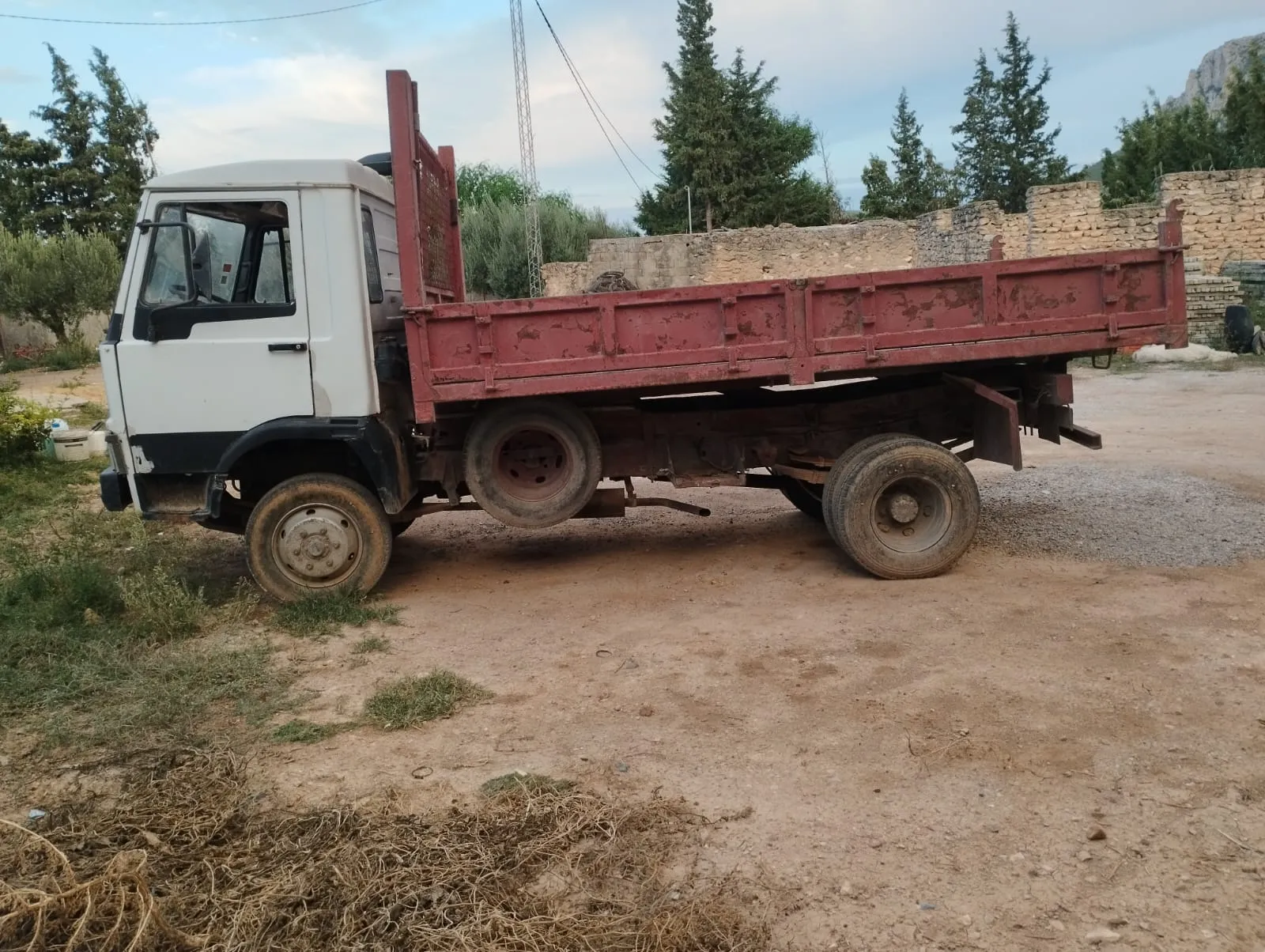 À vendre camion OM Zeta 65/9, diesel, avec benne.