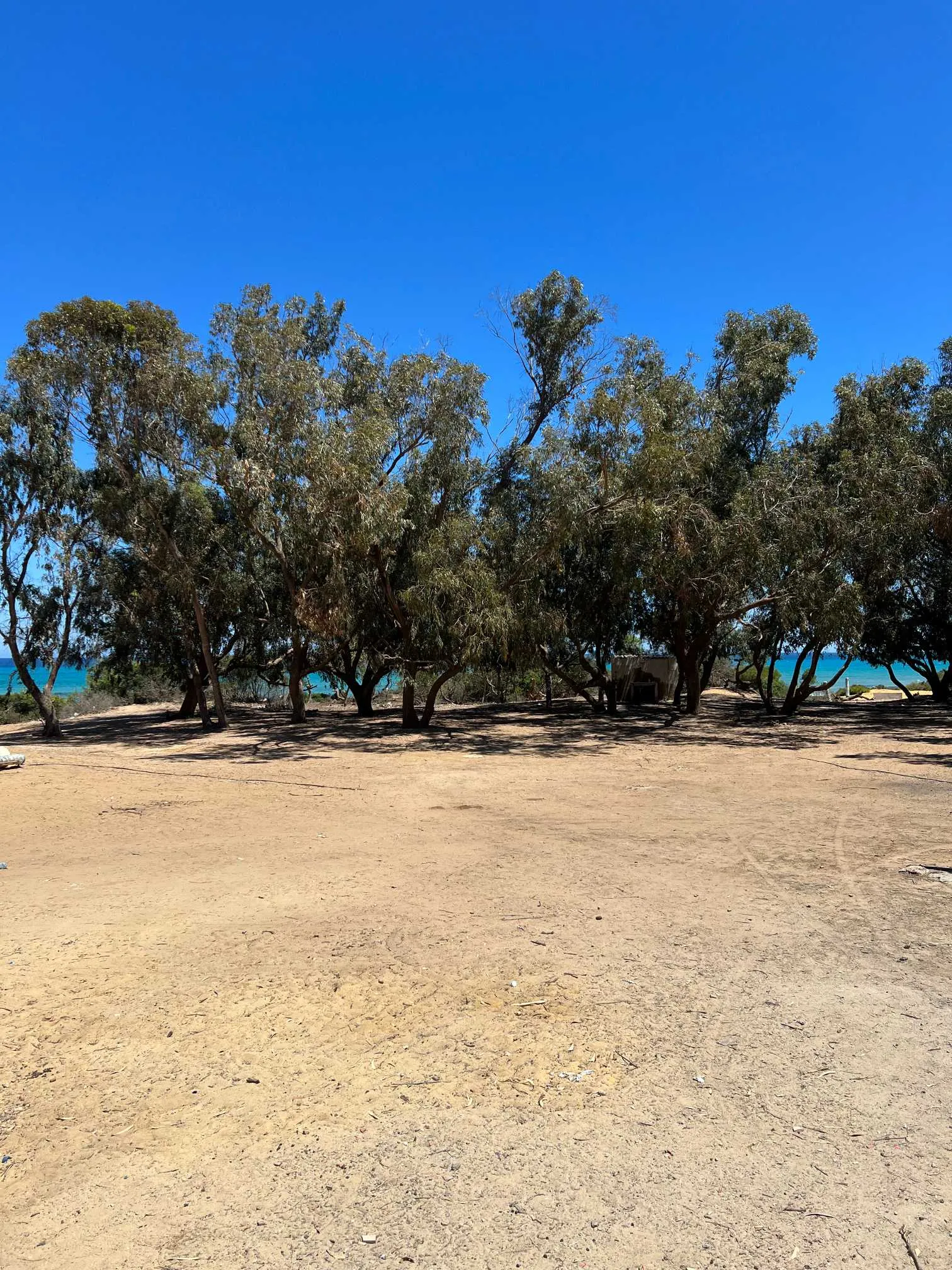 terrain pour les investisseurs