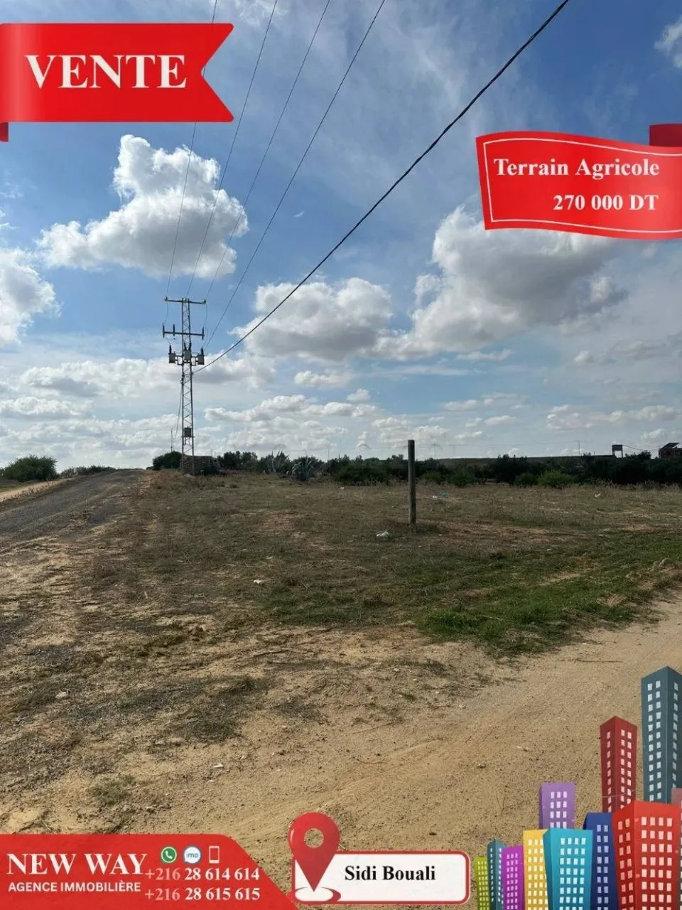 Terrain Agricole à Sidi Bouali près de l'autoroute et GP1