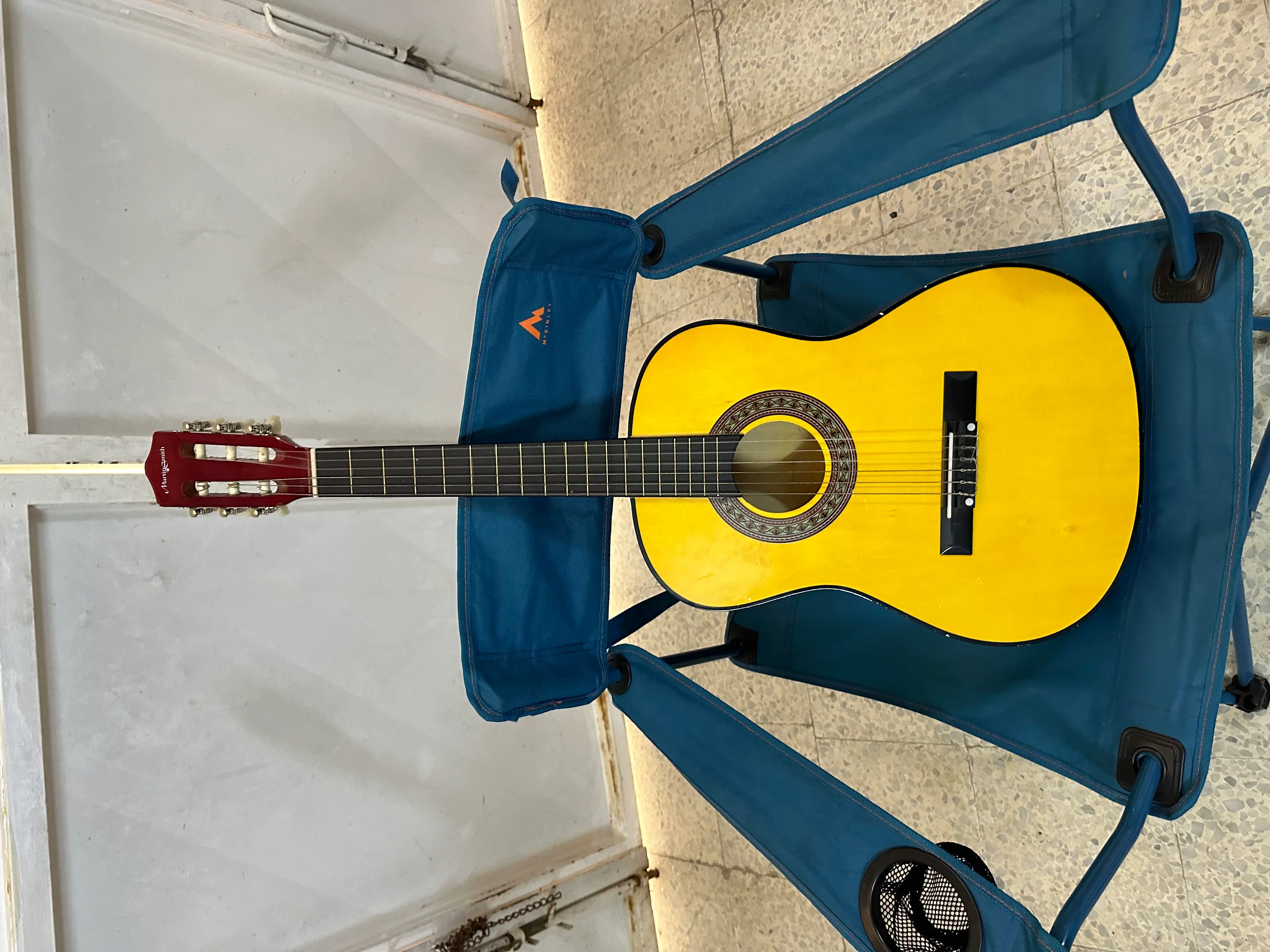 Guitar importer de france