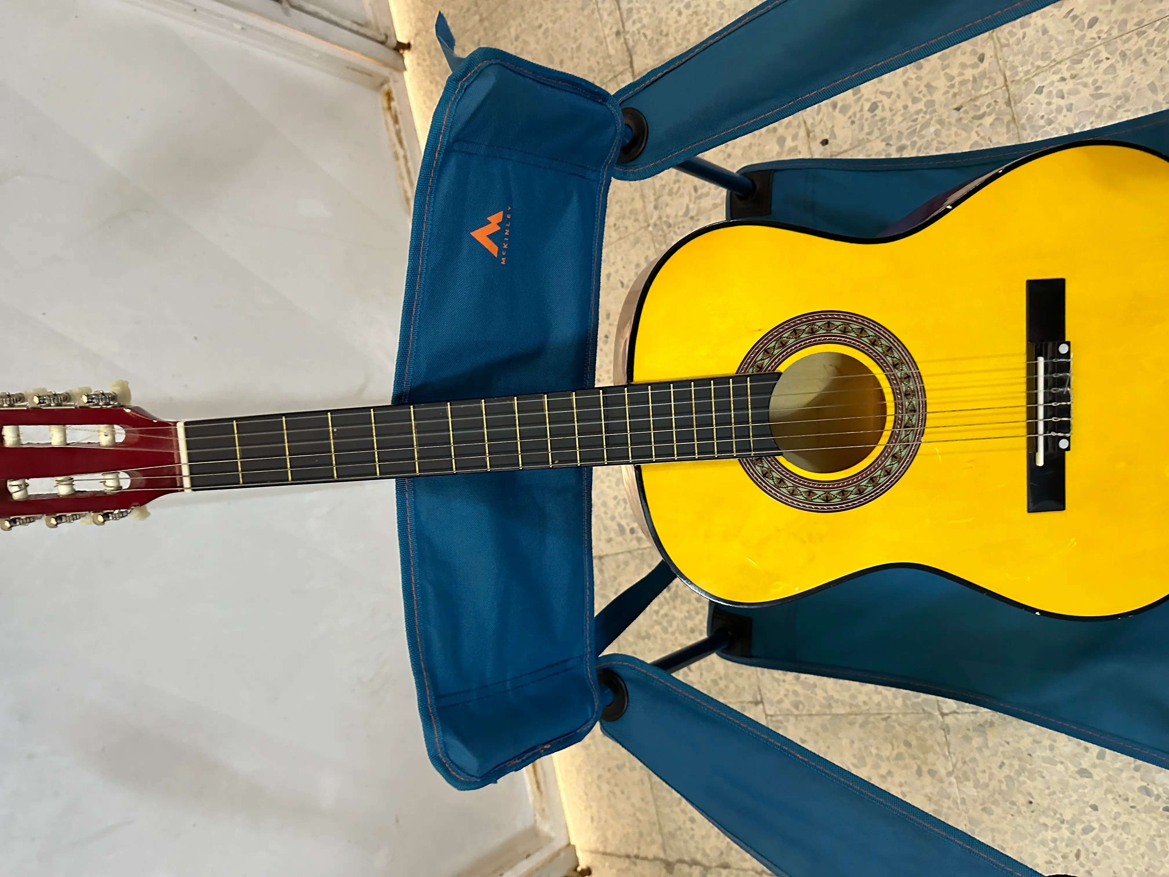 Guitar importer de france