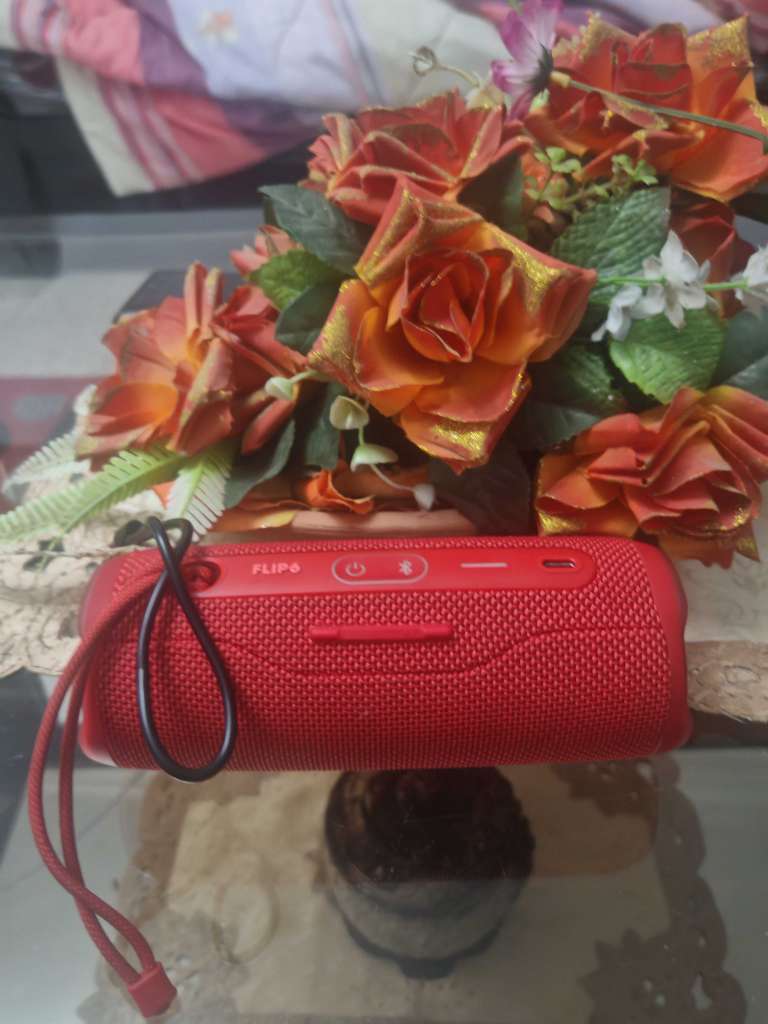 JBL flip 6 importĂ© đšđ”