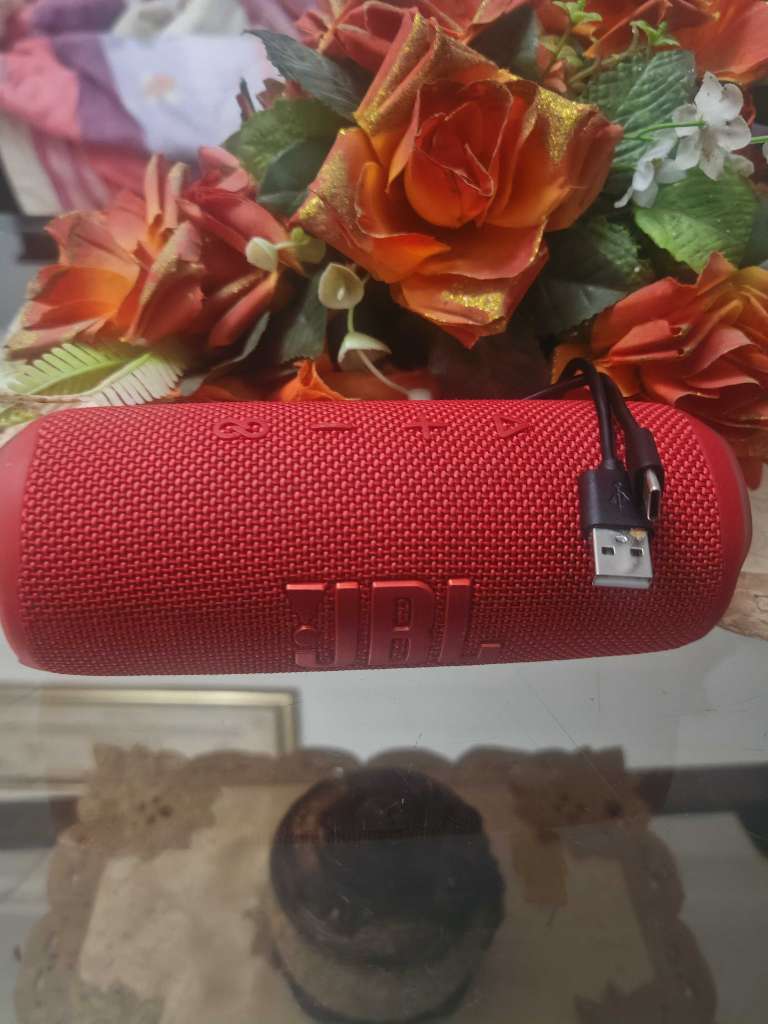 JBL flip 6 importĂ© đšđ”
