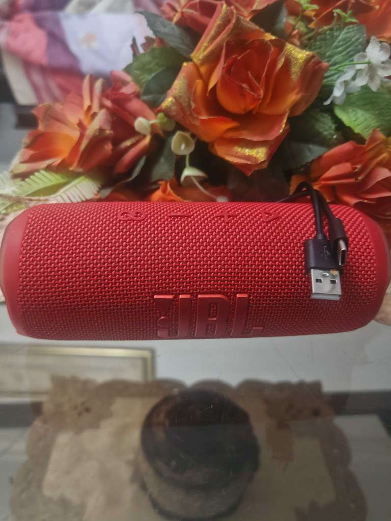 JBL flip 6 importĂ© đšđ”