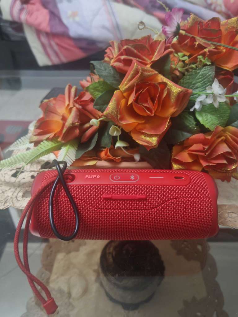 JBL flip 6 importĂ© đšđ”