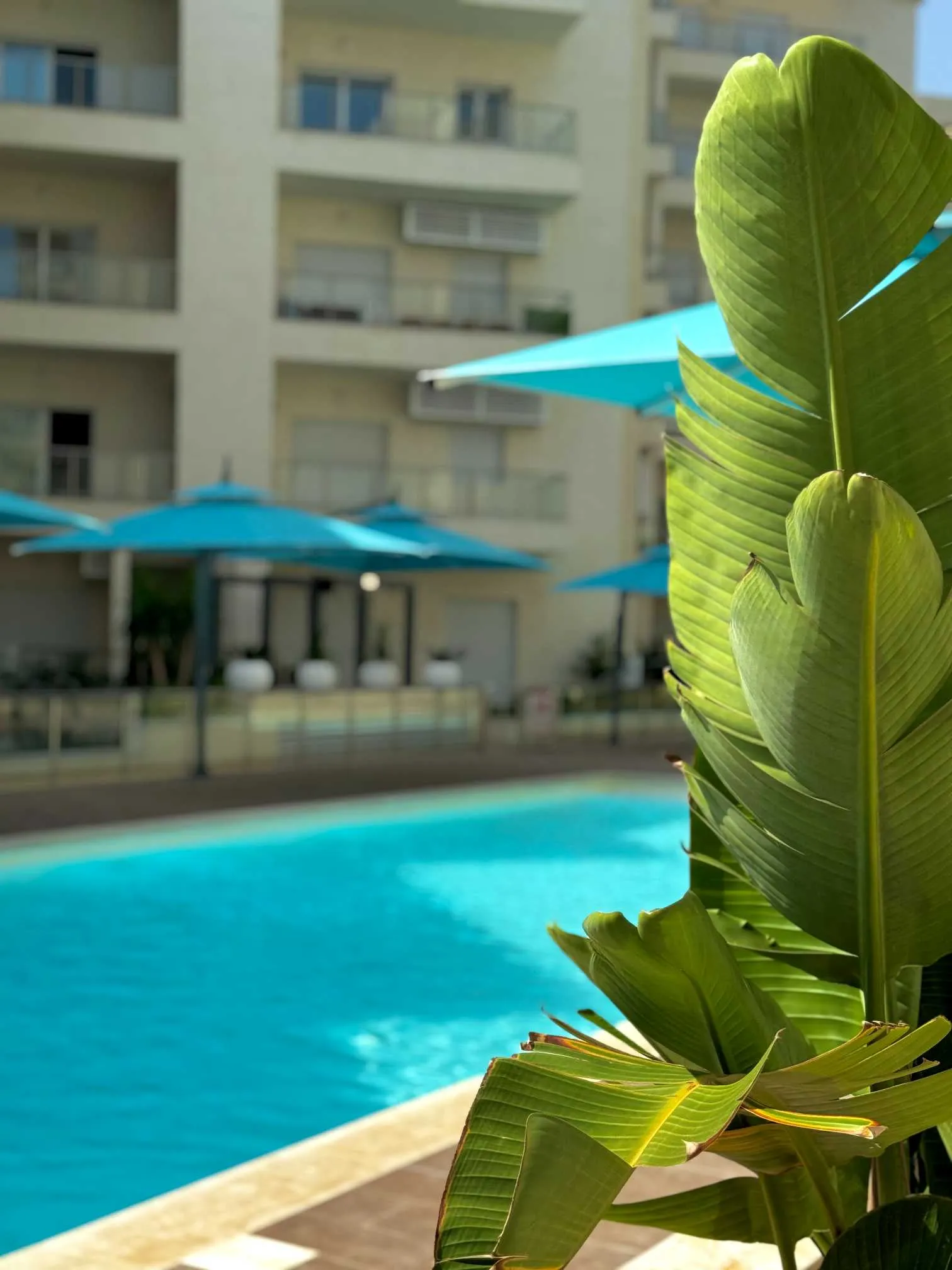 Pied dans l'eau et confort absolu