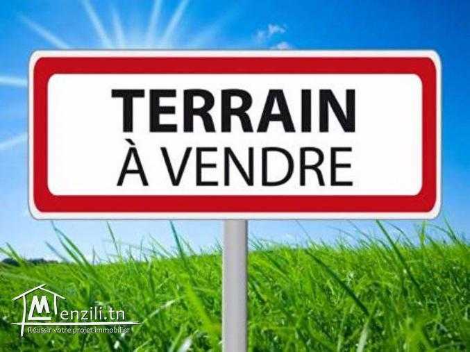 Un terrain à Djerba de 9000 m à vendre derrière le casino 