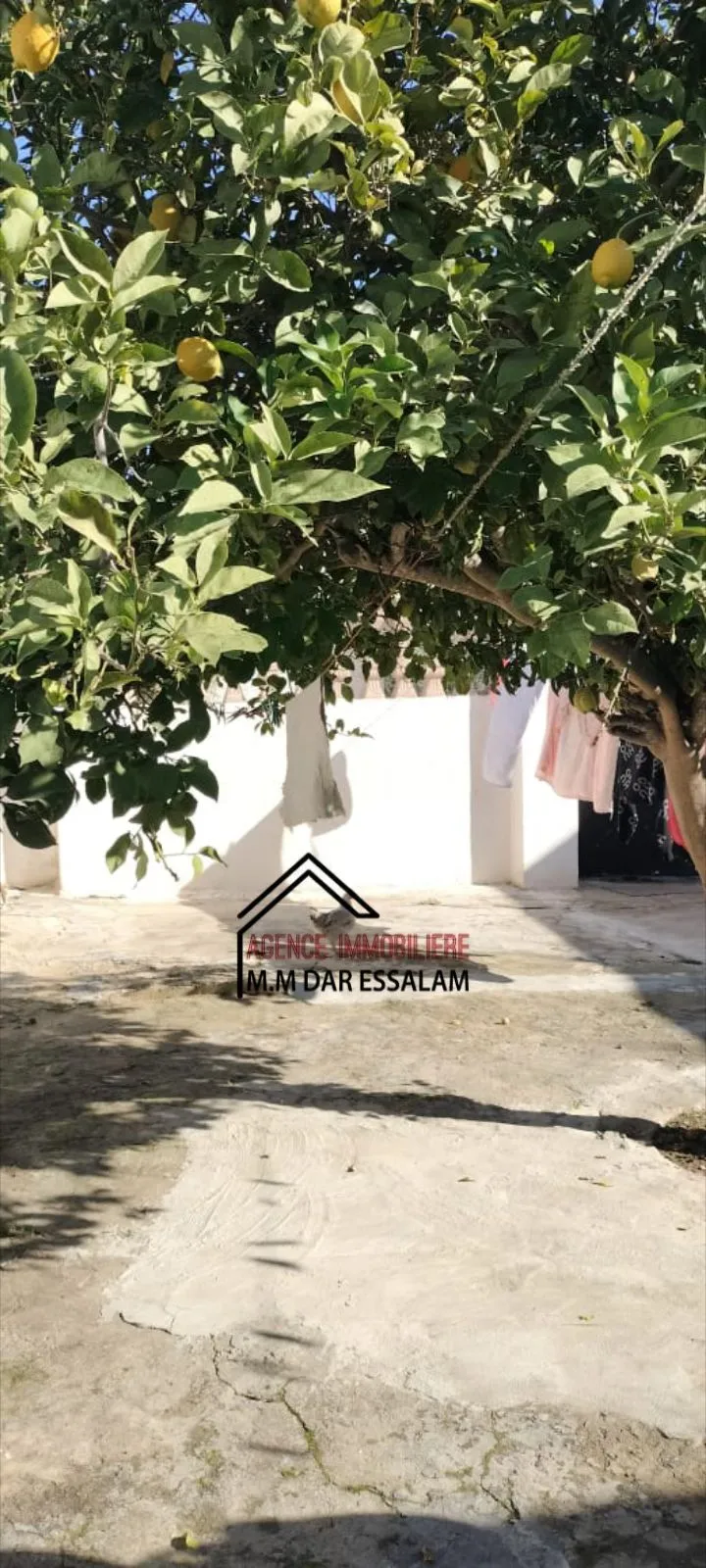 maison arabe à kélibia