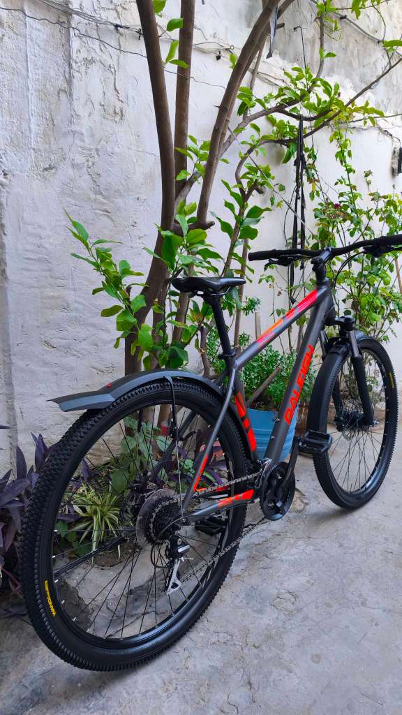 Vtt Raleigh 29