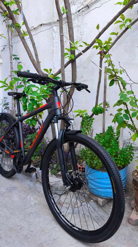 Vtt Raleigh 29