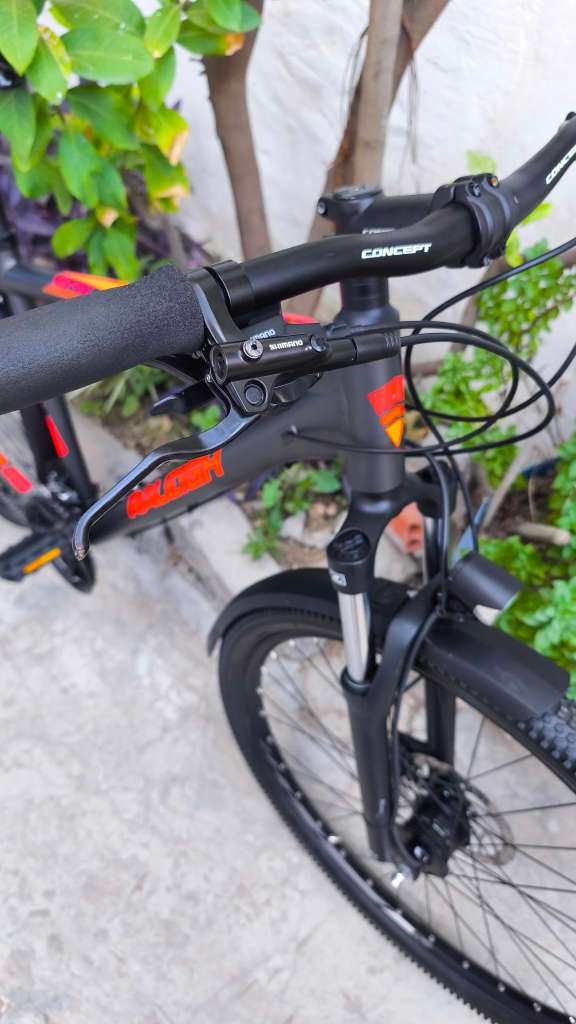 Vtt Raleigh 29