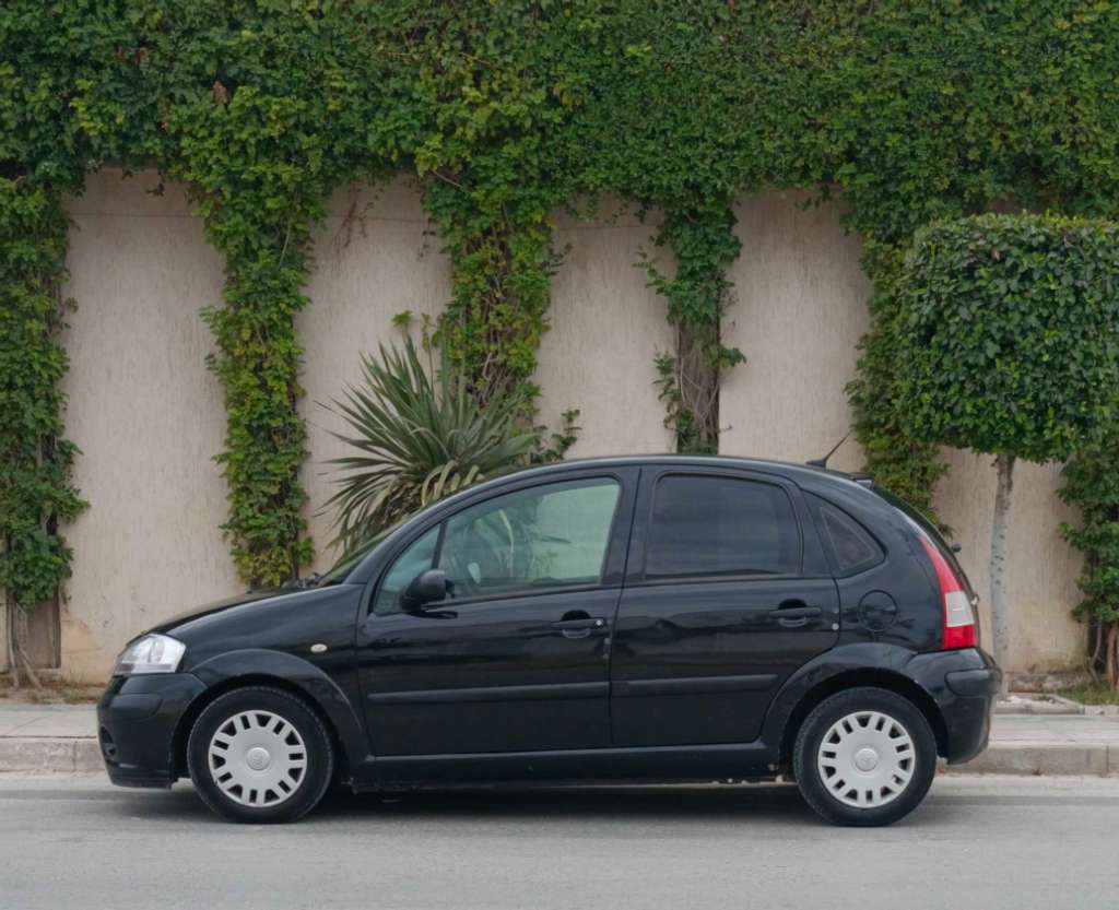 đ citroen c3