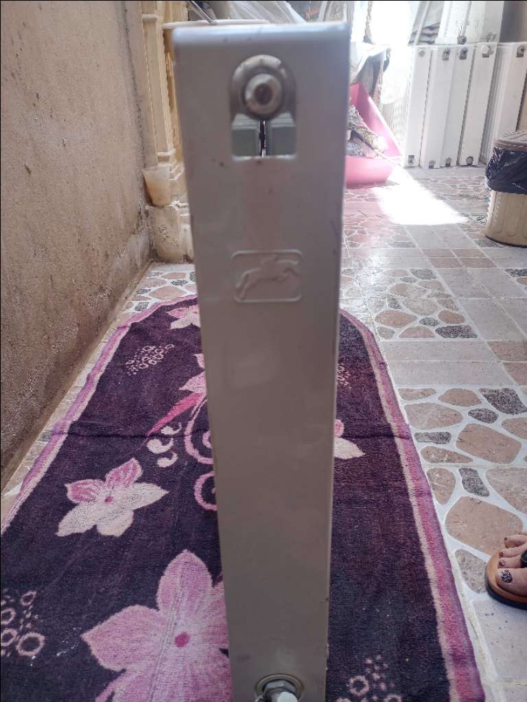 فرصة من ذهب
