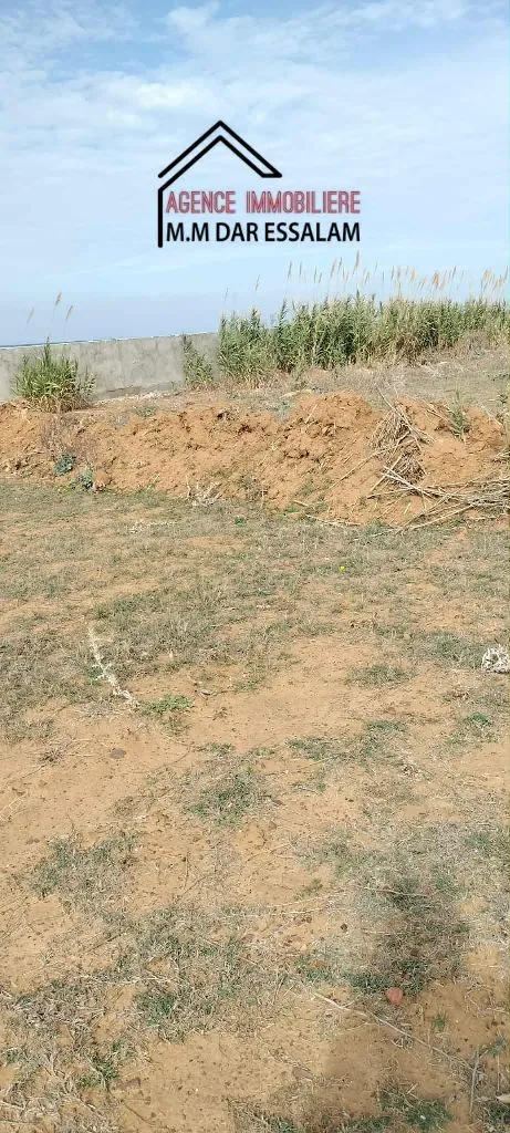 terrain près de la mer à vendre