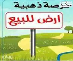 قطعة ارض للبناء مسجلة للاستفسار الرقم21088677