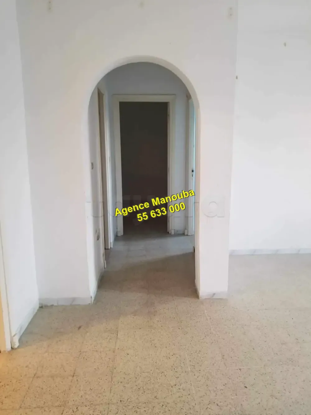 appartement a louer