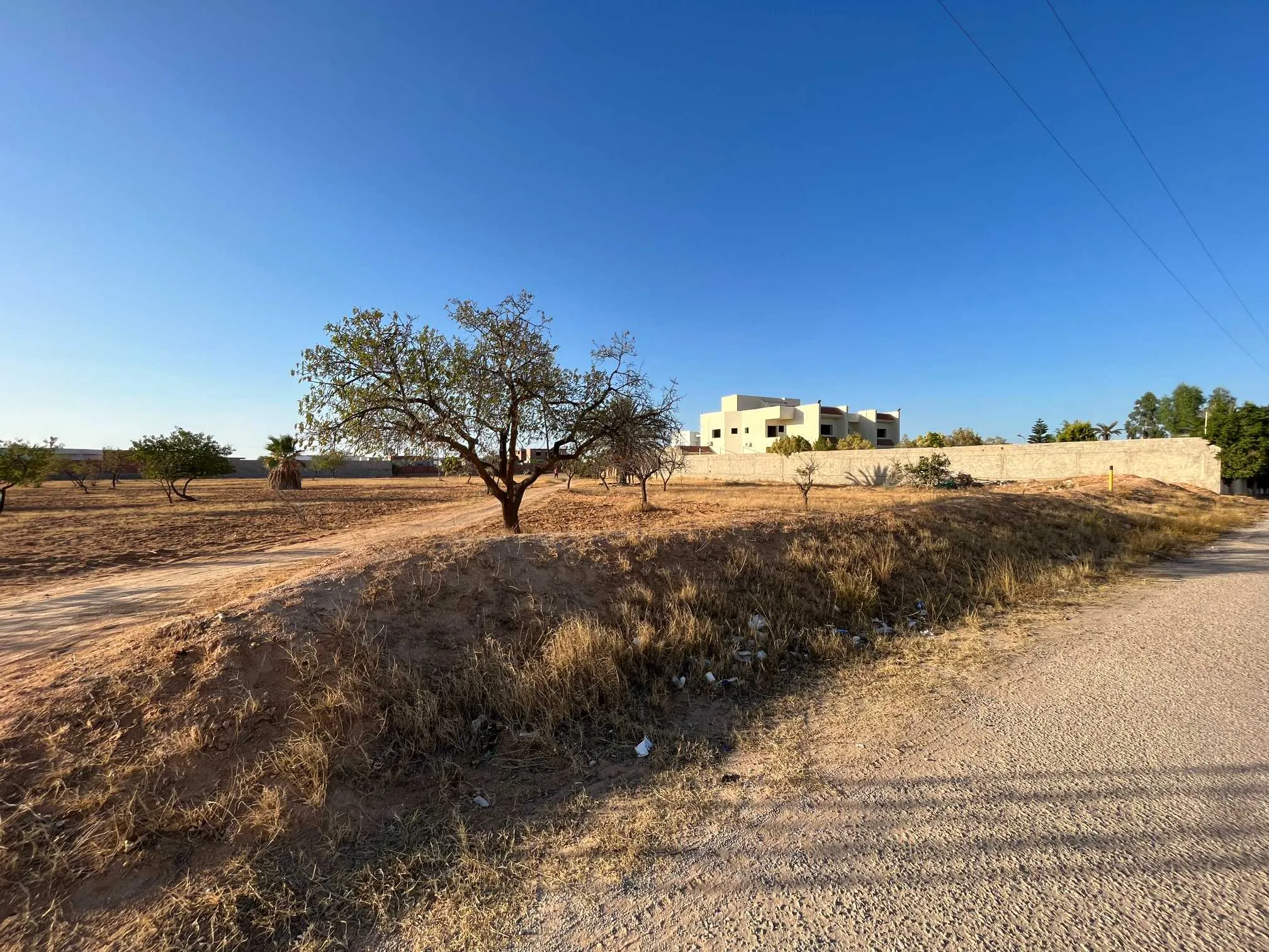 Terrain titré à vendre 2178m2 – Route El Aïn (Km 10,5)