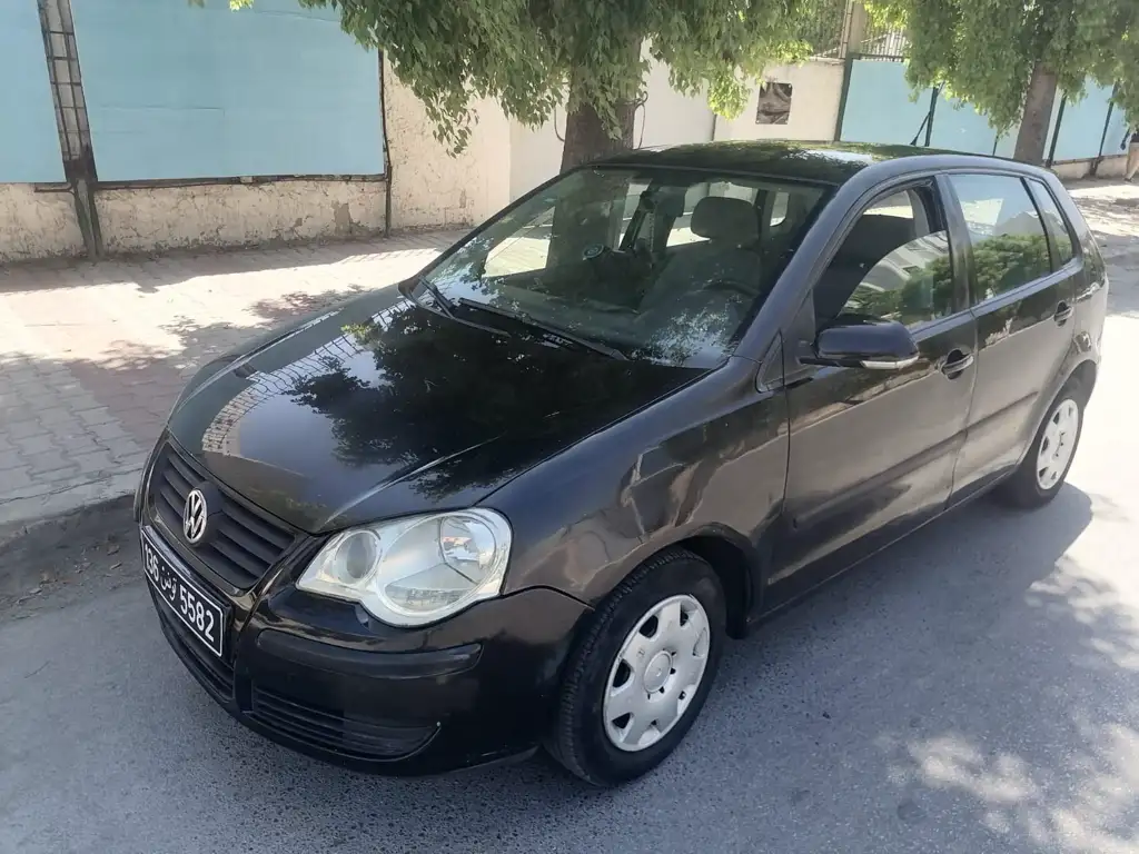 Polo6 1main