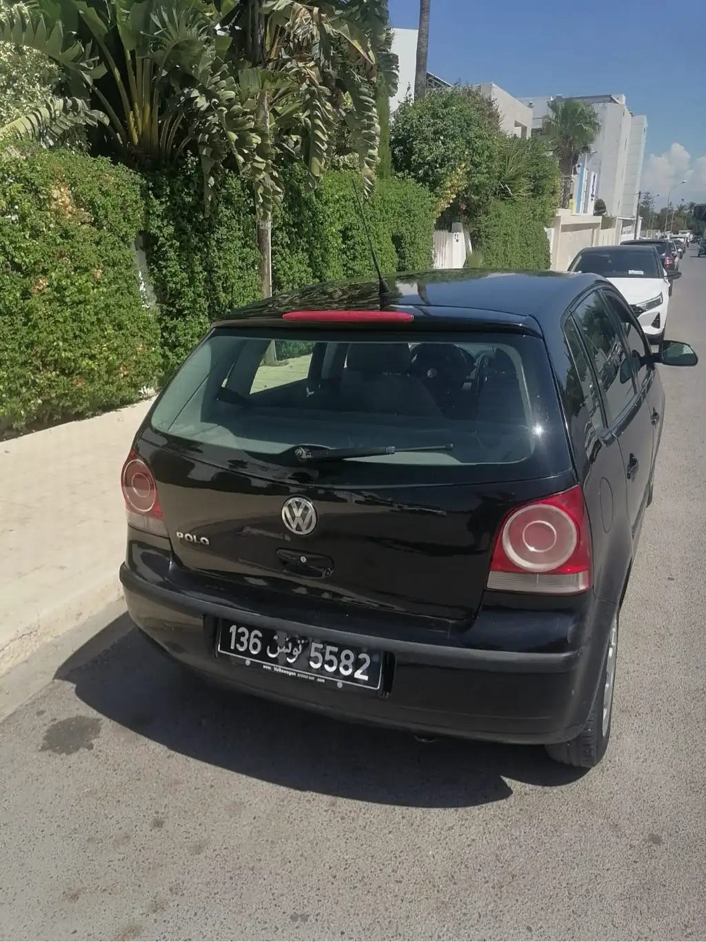 Polo6 1main