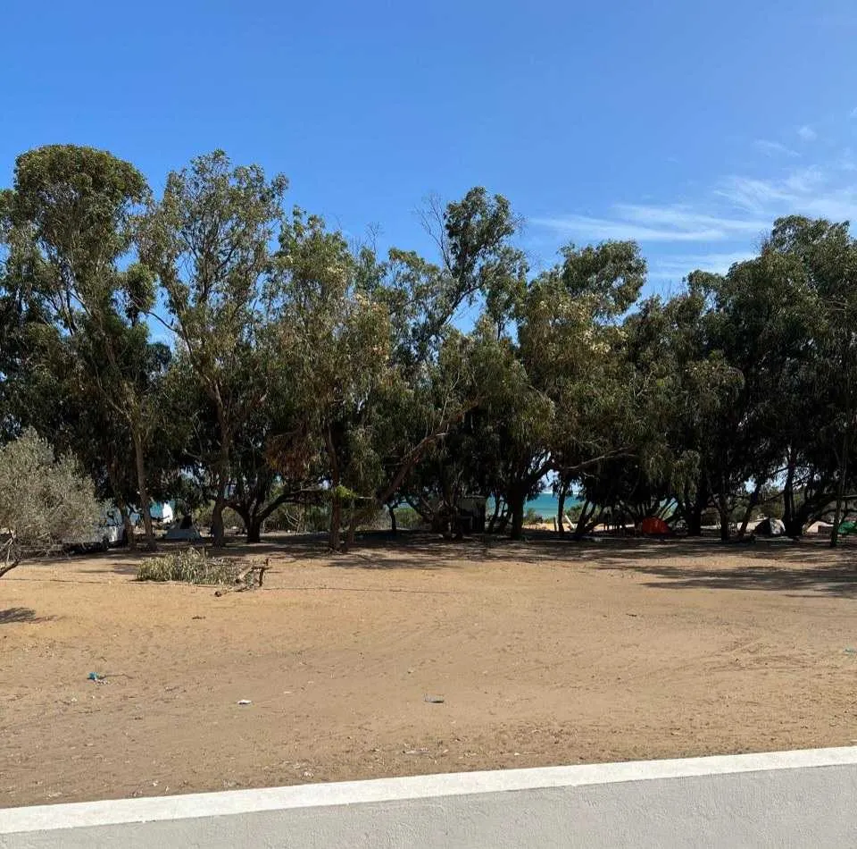 terrain pour mes investisseurs a hammam elghezaz