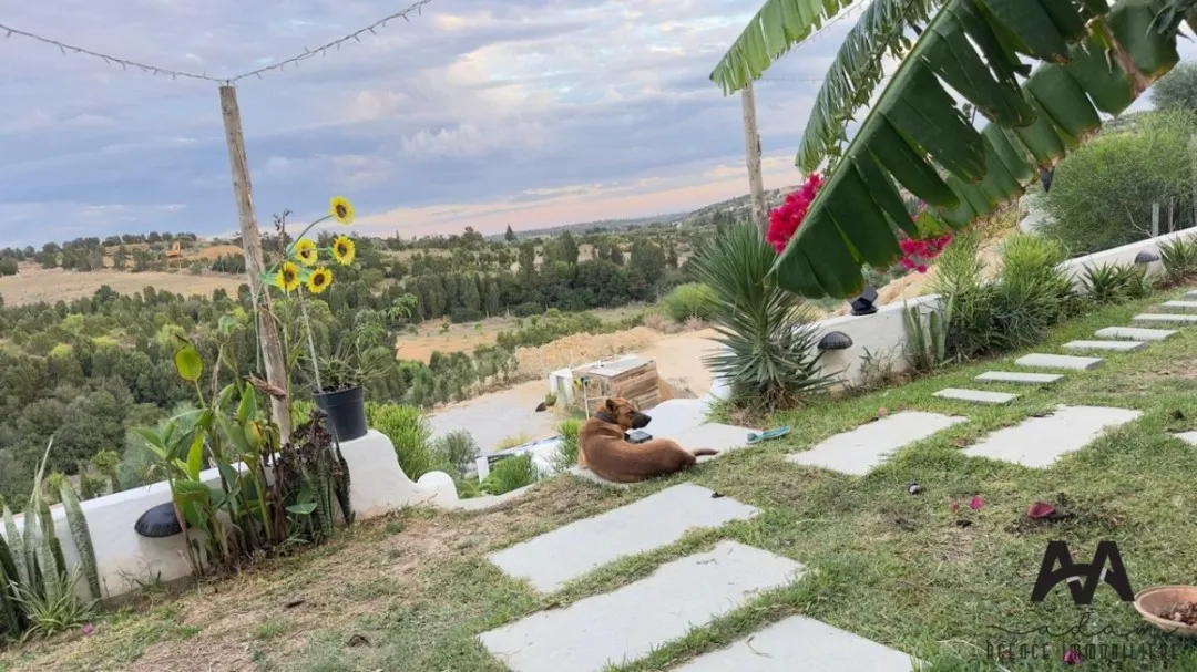 Maison d’Hôtes s+2 à Hammamet – Location courte durée