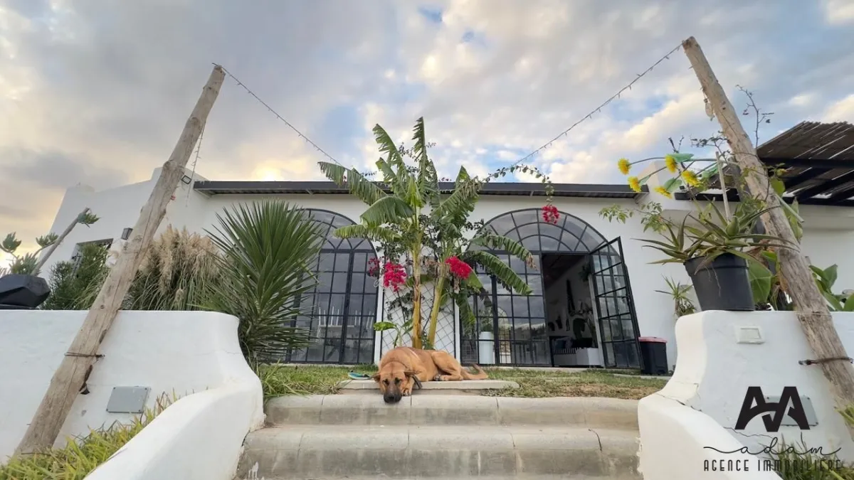 Maison d’Hôtes s+2 à Hammamet – Location courte durée