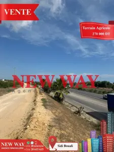 Terrain Agricole à Sidi Bouali près de l'autoroute et GP1